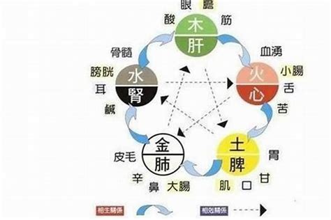 五行概念 缺水五行